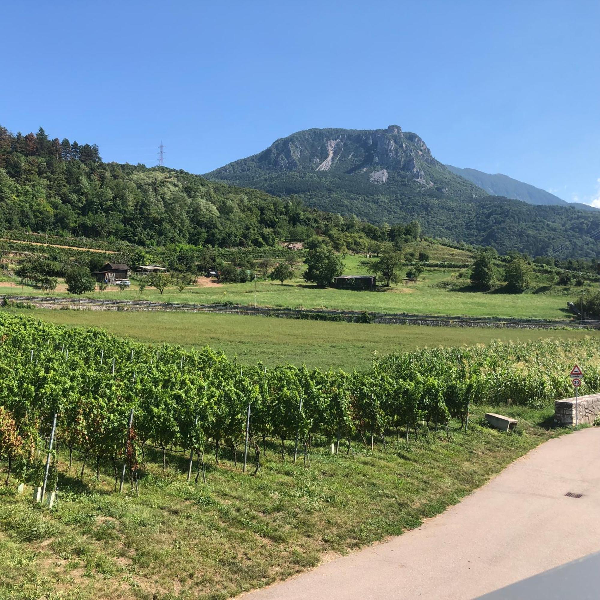 Appartamenti Moderni, Luminosi E Tranquilli Con Parcheggio Privato - Agritur La Tenuta Trento Exterior photo